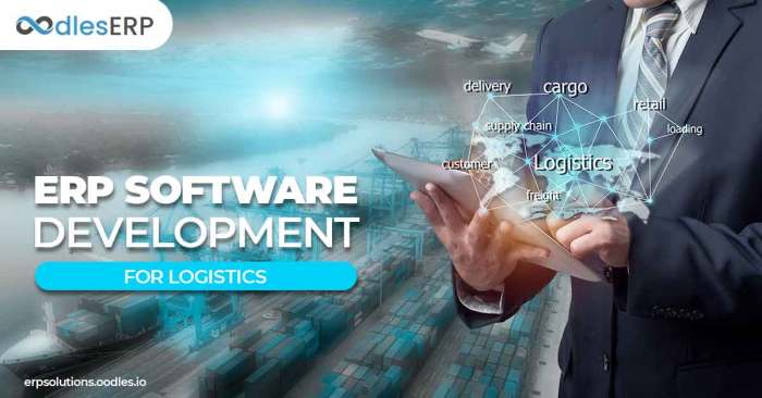 Custom ERP software for logistics companies
