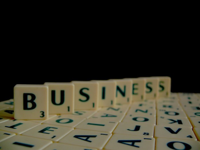 Business line of credit for LLCs