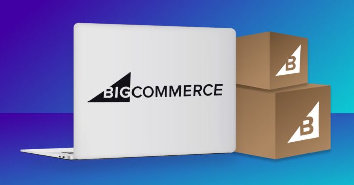 How to Buy an Ecommerce Business: Advantages +Types of Financing Buy ready-made ecommerce business