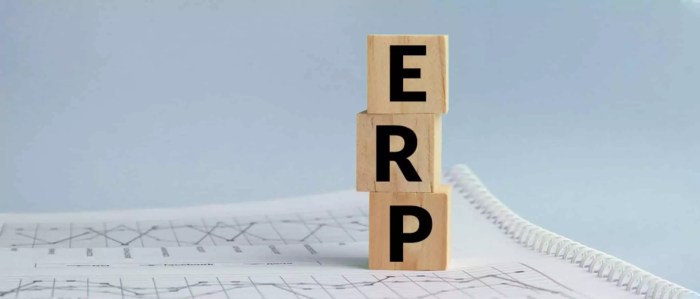 Custom ERP software for logistics companies