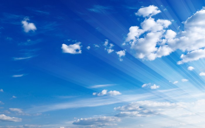 Premium Photo | 3D Cloud Computing Hosting Technology with Electronic ... Cloud accounting software for SMEs