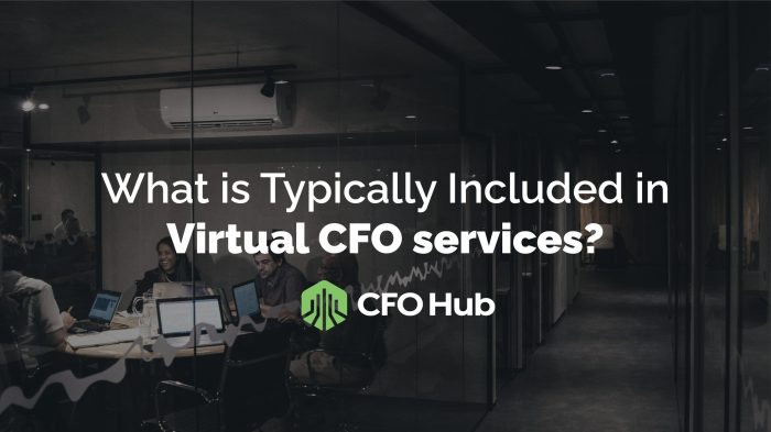 Virtual CFO: Future of Global Business Financial Management Virtual CFO services for small businesses