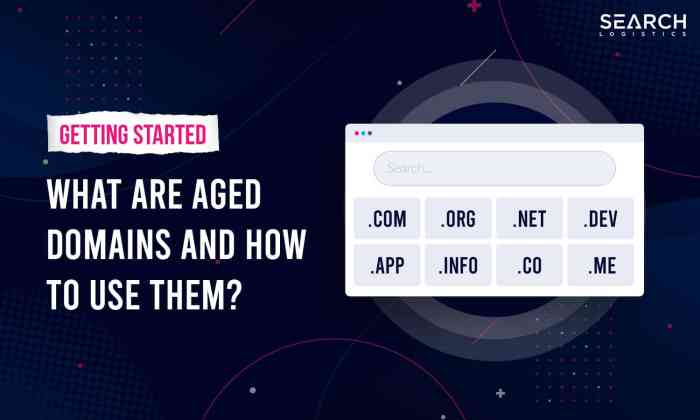 Buy aged domains for SEO