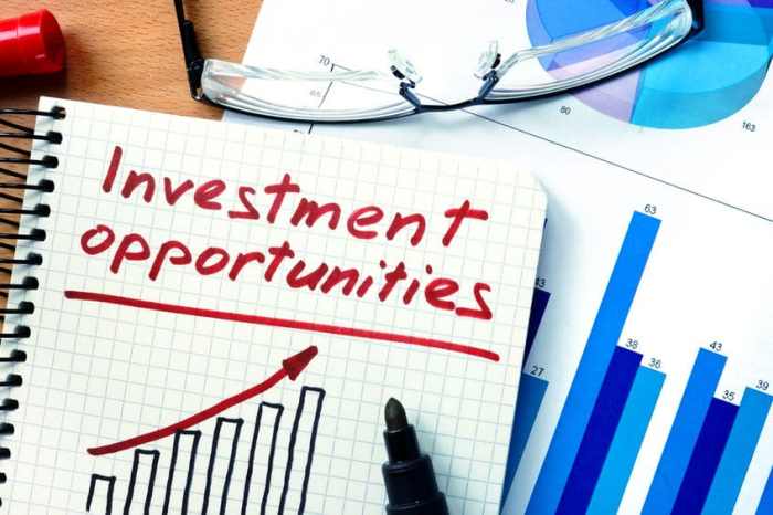 Software for Private Equity Firms to View Profitability