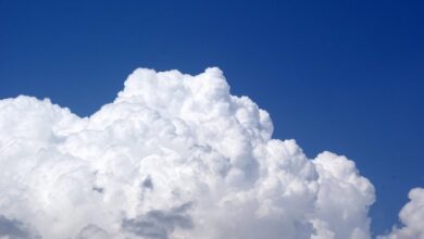 Cloud accounting software for SMEs