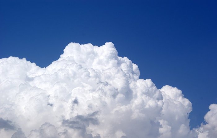 Cloud accounting software for SMEs