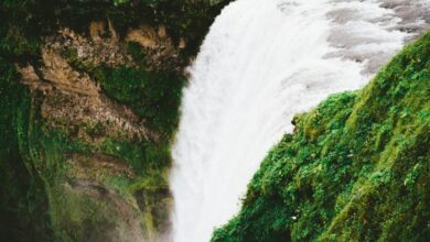 AI tools for business automation