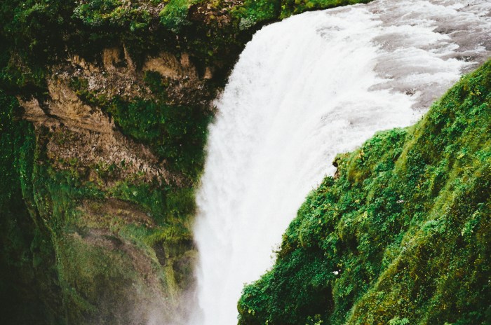 Image - Free stock photo - Public Domain photo - CC0 Images AI tools for business automation